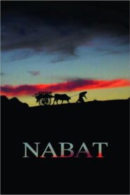 Nabat